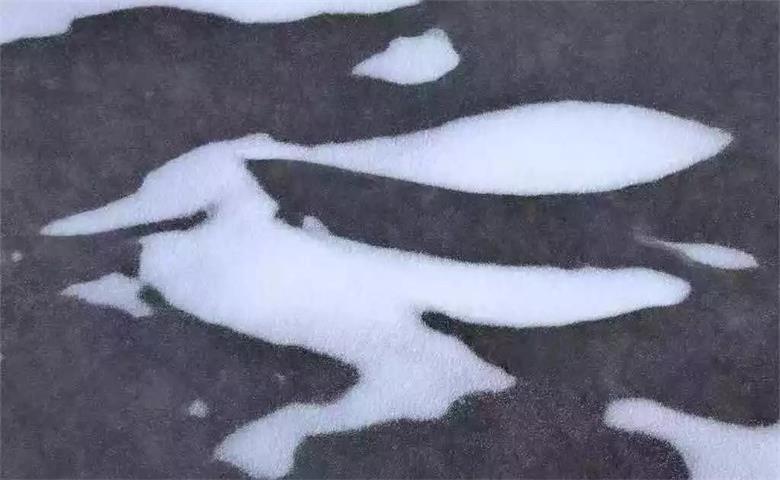 微信图片_20191223222801_看图王.jpg