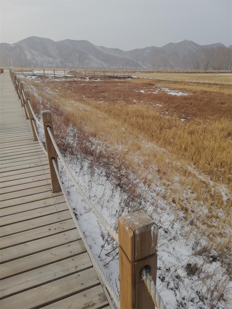 微信图片_20191229192738.jpg